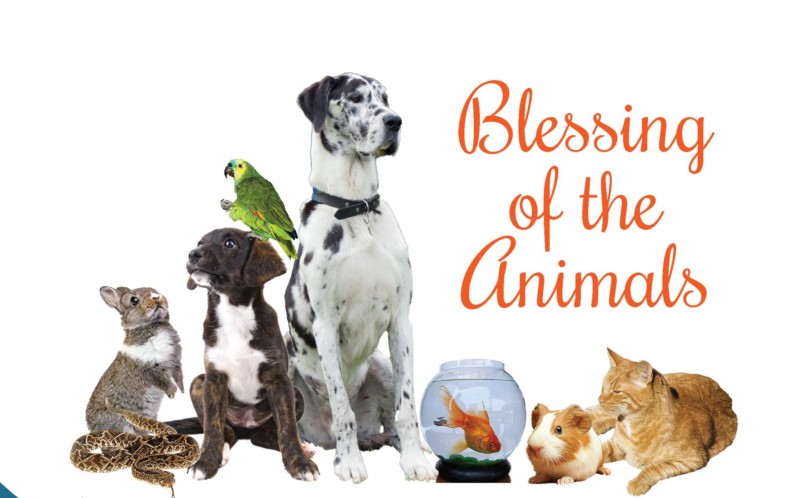 blessing of the animals